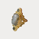 Anillo Rots