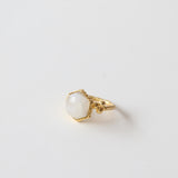 Anillo Zesh